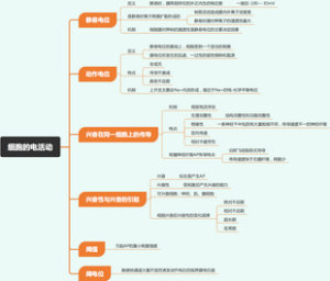 细胞的电活动
