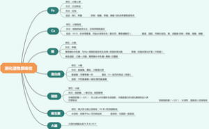 消化道物质吸收