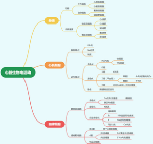 心脏生物电活动