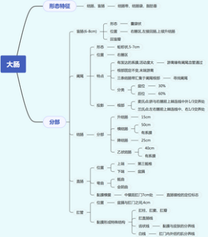 医学-大肠