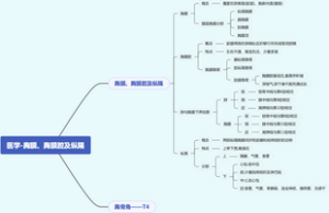 医学-胸膜、胸膜腔及纵隔