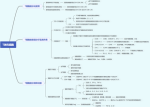 医学-T淋巴细胞