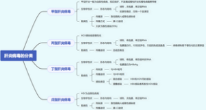 医学微生物学-肝炎病毒的分类