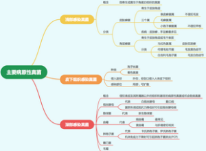 主要病原性真菌
