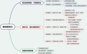《横向领导力》
