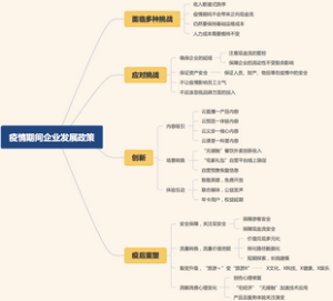 疫情期间企业发展政策