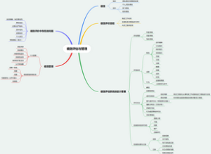 绩效评估与管理