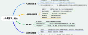 人力资源三大支柱