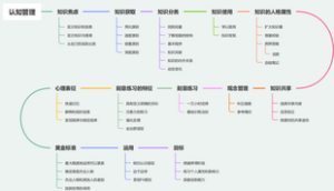 认知管理