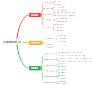 抖音美业美妆类运营规划-郑