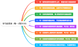 学习进度表（每一点按半天）