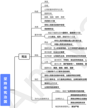 坚持依宪治国