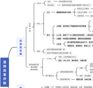 坚持改革开放