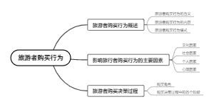 旅游者购买行为