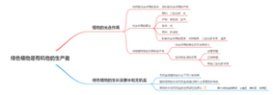 七年级上册生物思维导图