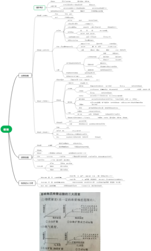 专题一：细胞的结构基础