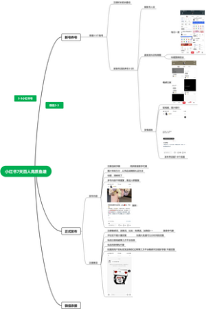 小红书7天百人高质鱼塘