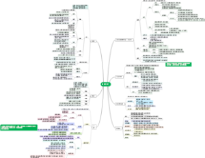 循环系统（组胚八）