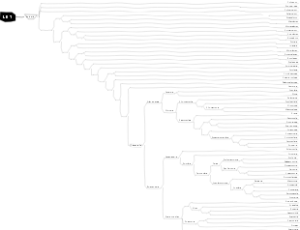 LET bySCP1000(1)_backup_182319