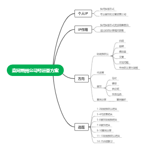 公司号