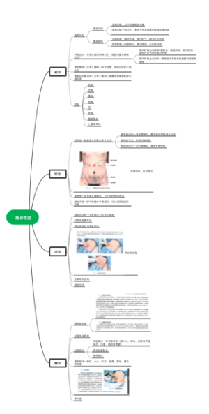 腹部检查