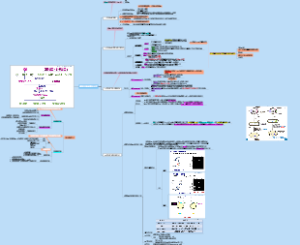第九章 基因克隆与基因外表达 3