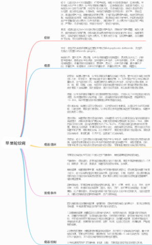 导图1