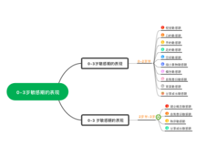 0-3岁敏感期的表现