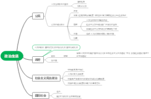 政治生活