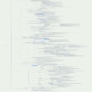 系统集成项目管理工程师第9章 项目管理概论