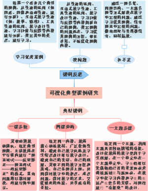 可视化典型课例研究