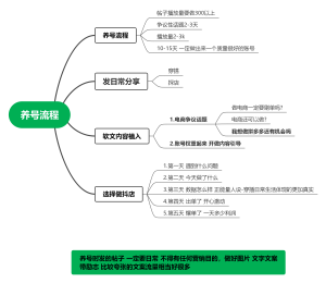 养号流程