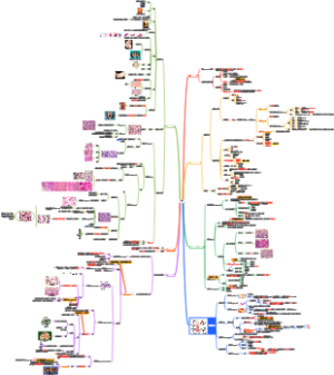 病理学——肿瘤Ⅰ