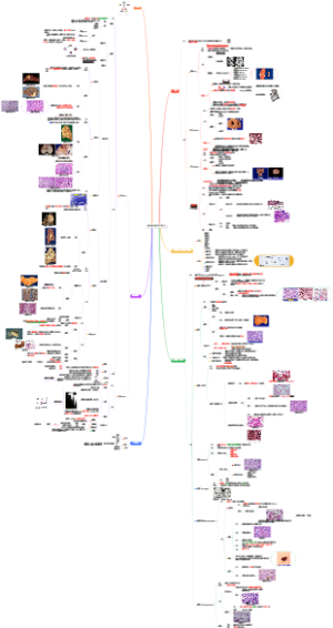 病理学——细胞和组织的适应与损伤