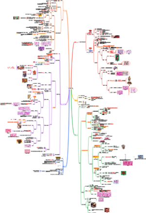 病理学——局部血液循环障碍