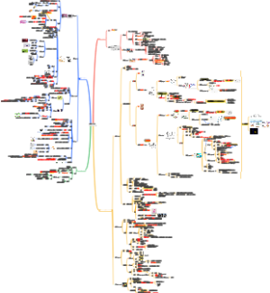 医学微生物学——细菌的形态与结构