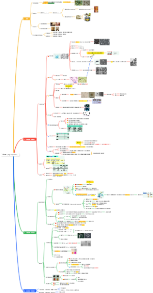 医学微生物学——支原体（Mycoplasma）