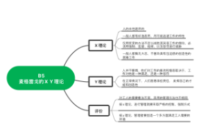 B5麦格雷戈的X Y理论