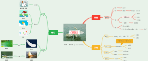 思维导图学古诗：01《咏鹅》