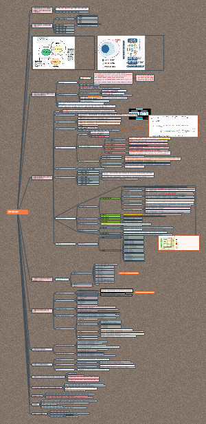 【社区作品】8规划师新教材第五章 市级国空规第二节重要编制要指南