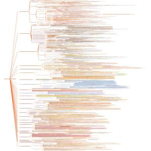 12第六章第一节国土空间规划相关法律要点