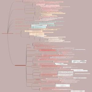 规划师 第二章城市道路交通工程