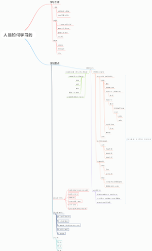 人是如何学习的