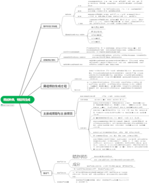 煤化学思维导图