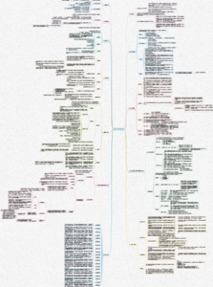安全生产管理依法合规思维导图（初稿）