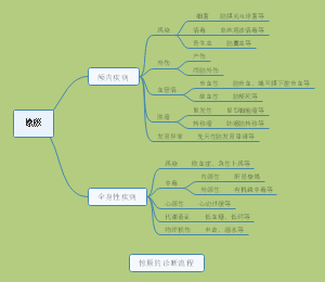 惊厥的诊断流程