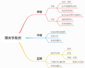 踝关节骨折