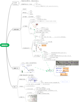 EC第三章消费者行为
