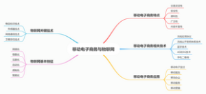 移动电子商务与物联网