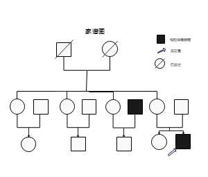 家系图